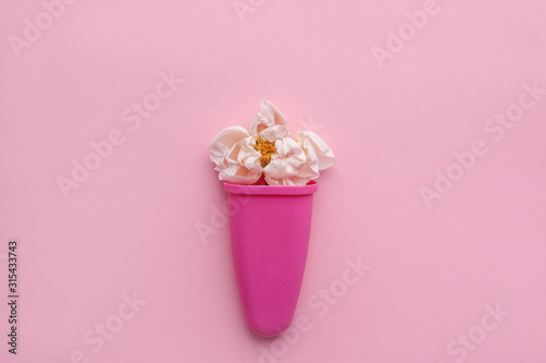 Rose bud in a plastic cup of ice cream on a pink background. Space for text. flower composition © Sviatlana