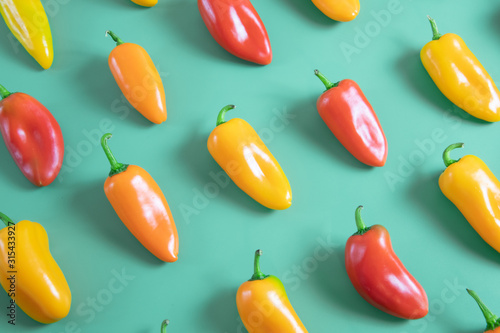 colorful peppers on mint background