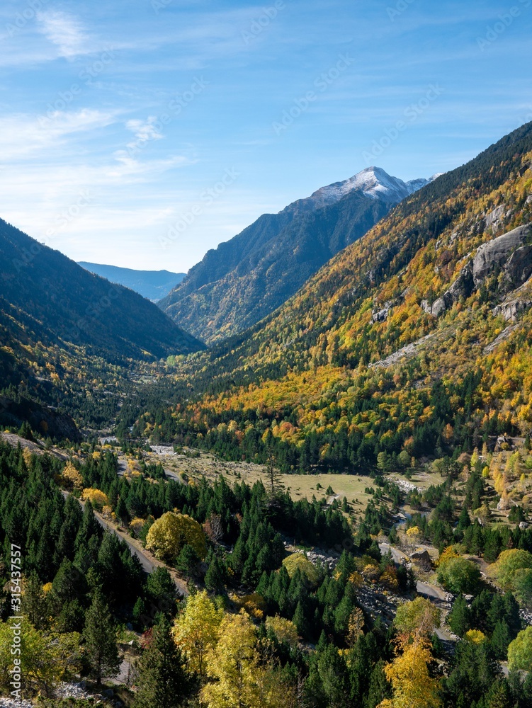Fototapeta premium paisaje otoño