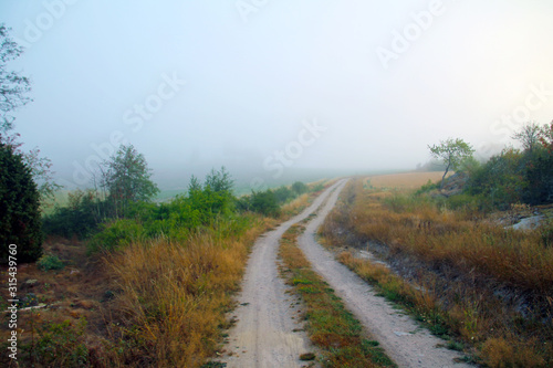 A road that leads away through the fog
