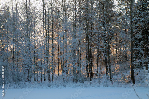 Wallpaper Mural Sunrise on winter morning Torontodigital.ca