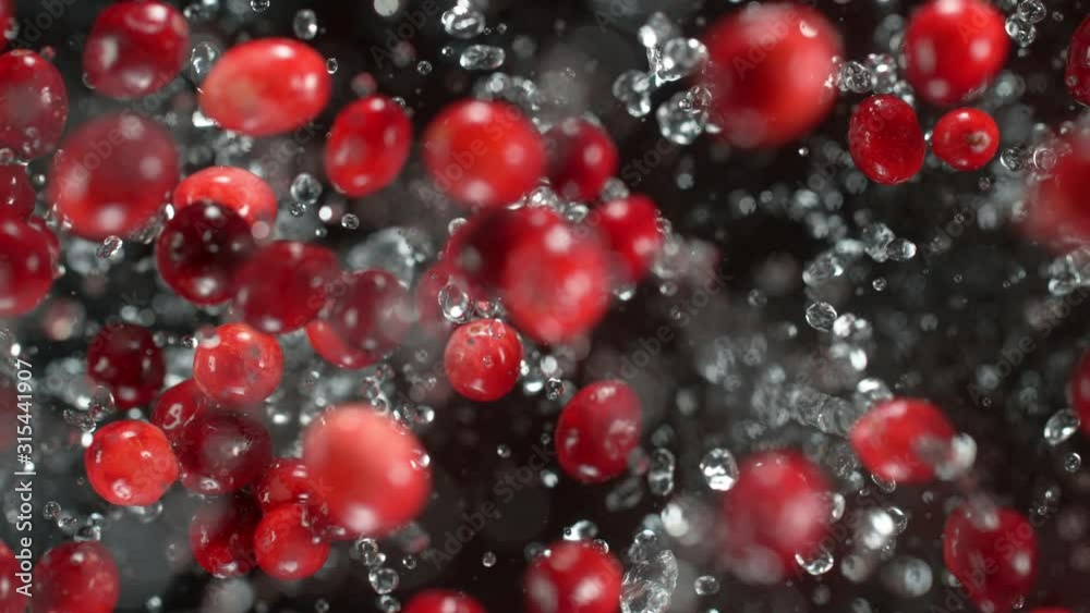 Exploding cranberries with water on a black background. Filmed on high speed cinema camera, 1000fps. Exploding cranberries with water on a black background. Filmed on high speed cinema camera, 1000fps.