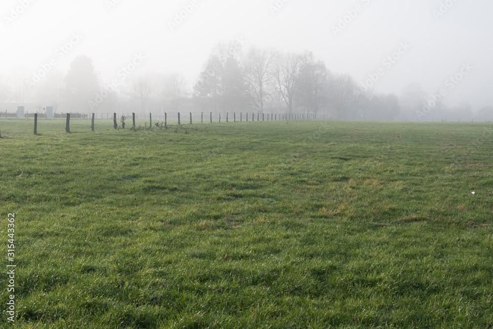 Nebel über Wiesen und Felder am Stadtrand von Bünde in Ostwestfalen Nebel über Wiesen und Felder am Stadtrand von Bünde in Ostwestfalen