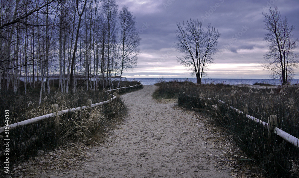 Naklejka premium Purple twilight in natural park stock images. Overcast trail in Canada stock images. Birch grove with path and lake. Beautiful landscape in Canada images. Cloudy day in Canada
