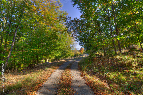 Waldweg