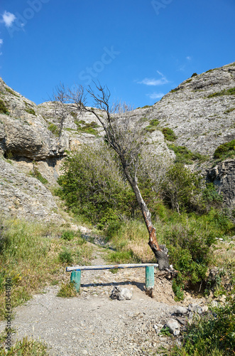 Obraz na płótnie The rocky coast of the Black Sea on Mount Alchak. Bench for rest under a dry tree, Crimea w salonie