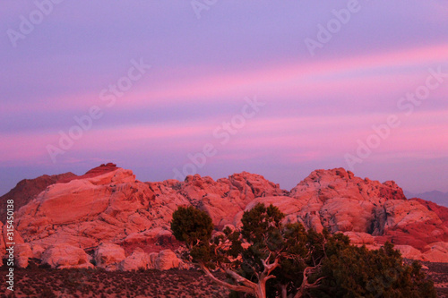 Fototapeta Naklejka Na Ścianę i Meble -  Red Rock Canyon