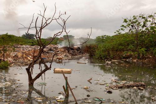 polluted river with dog.   