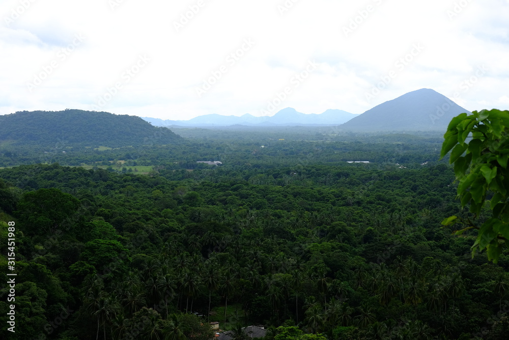 landscape with mountains and trees in sri llanka