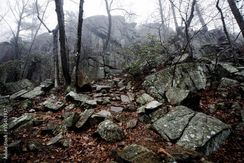 Harriman hiking photo