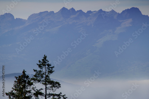 Wanderung  Gebhardsberg - Fluh - Pfänder mit mystischem Wald photo