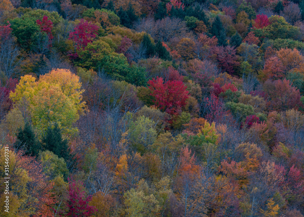 Colors of Vermont