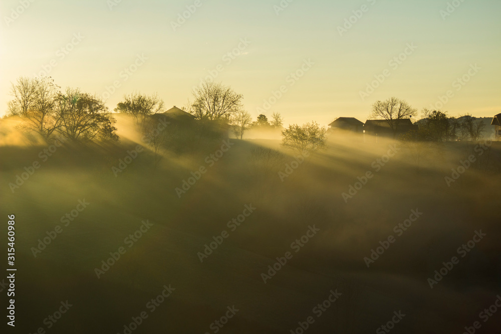 Fototapeta premium Sunrise over trees and houses on hill in foggy morning