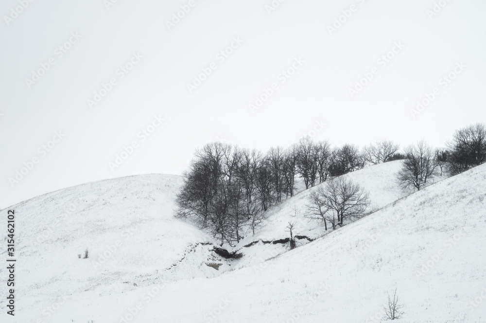 Gray trees on the white winter hills. Wildlife of the remote corners of Russia Gray trees on the white winter hills. Wildlife of the remote corners of Russia