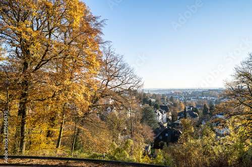 Colorful autumn Park with trees in Wiesbaden, Germany