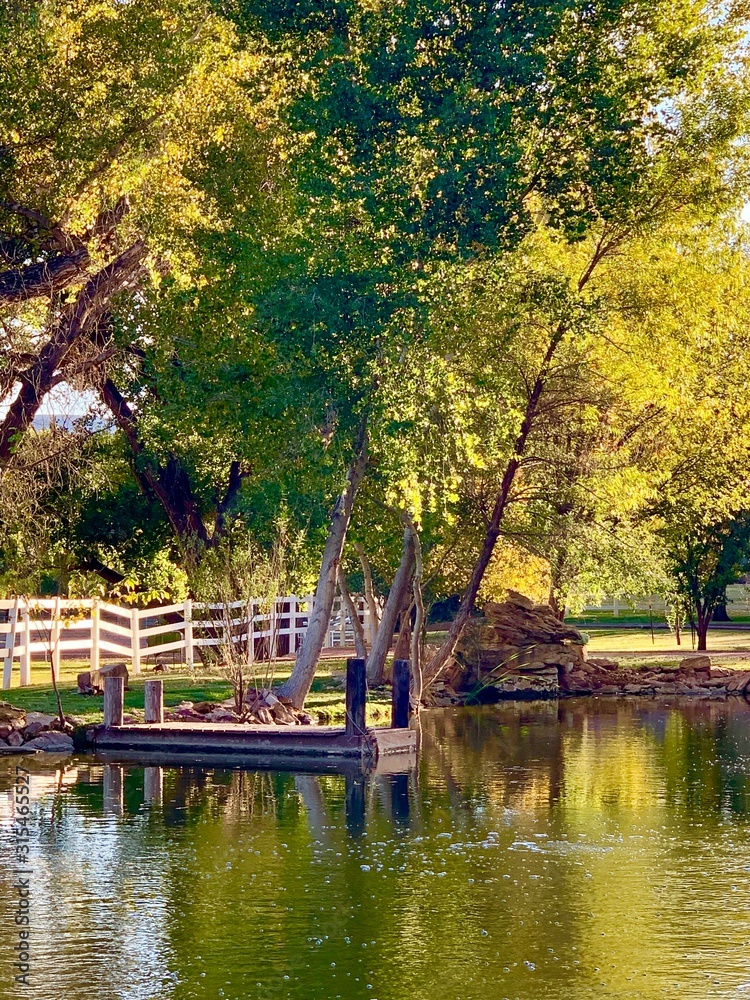 Fototapeta premium dock on the lake