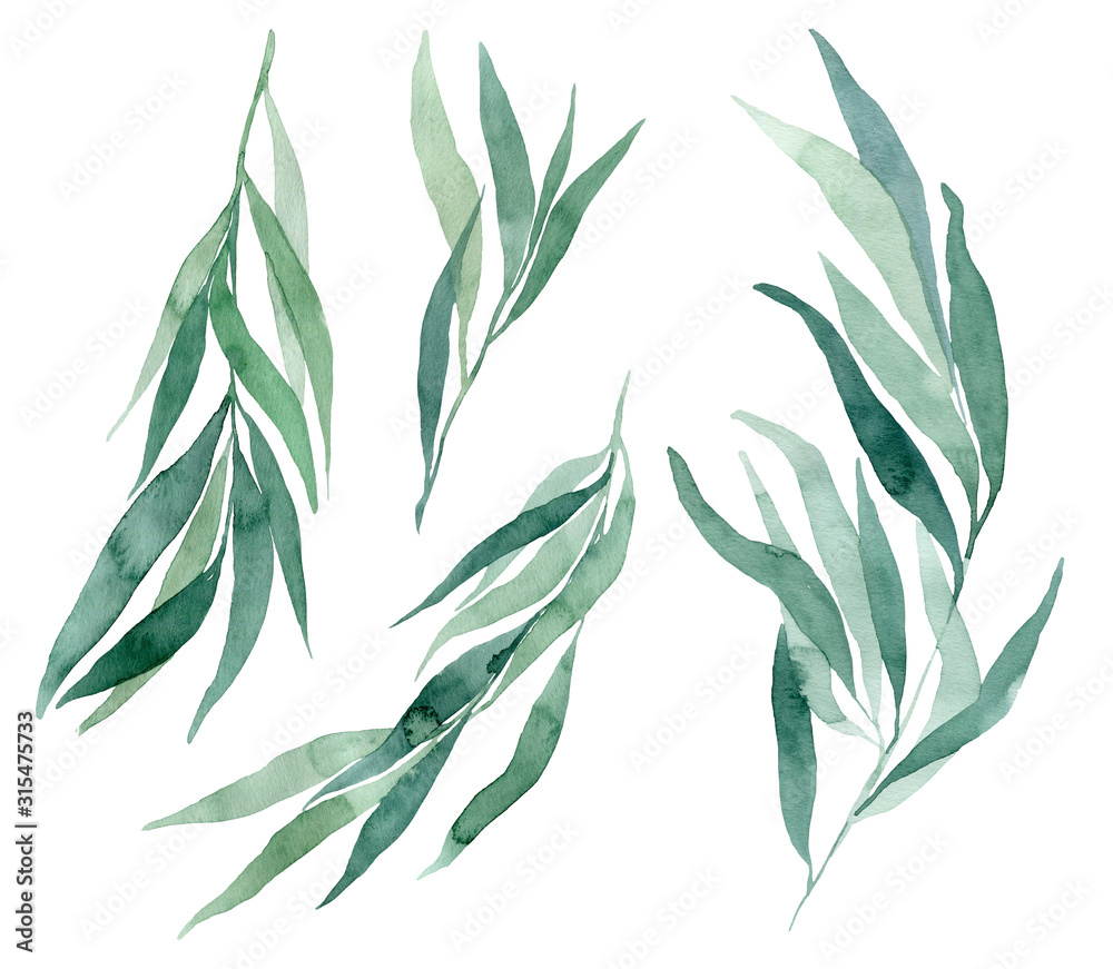Fototapeta premium set of watercolor illustrations eucalyptus branch on a white background. Elements for creating wedding invitations and cards in eco style.