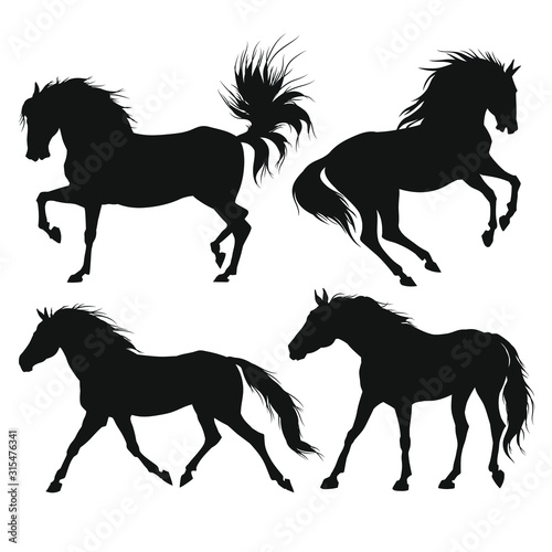 Horses silhouettes. Vector illustration