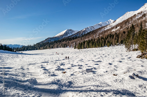 Snowy view at Calaita lake, Siror - Trentino Alto Adige, Italy