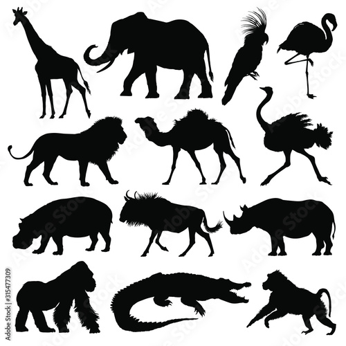 African animals silhouettes set. Giraffe, elephant, antelope, hippopotamus, rhinoceros, camel, ostrich, crocodile, flamingo, cockatoo, baboon, gorilla, lion. Vector illustration.