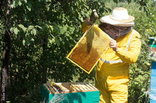 Beekeper works colleting honey at apiary Beautiful sunny day Beekeeping concept