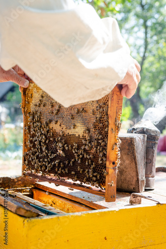 The beekeeper checks the hive. Looks at bees in the sun.