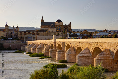 The Roman Bridge over the Guadalquivir river and the Mosque Cathedral of C  rdoba  Andalusia  Spain