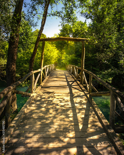 wooden bridge in the forest