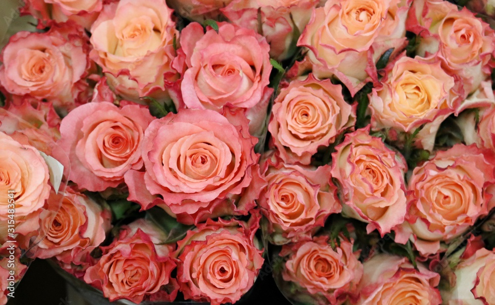 Large beautiful bouquet of pink roses for dear and beloved beauties Large beautiful bouquet of pink roses for dear and beloved beauties
