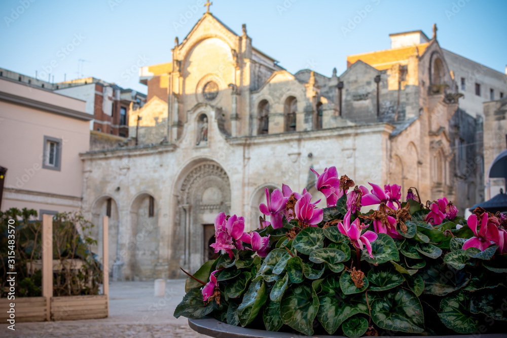 Close up of Purple Fowers in front of the Church of San Giovanni Battista in Matera