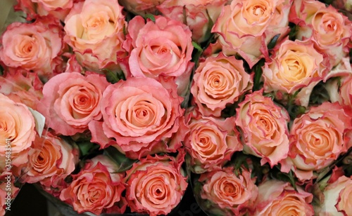 Large beautiful bouquet of pink roses for dear and beloved beauties