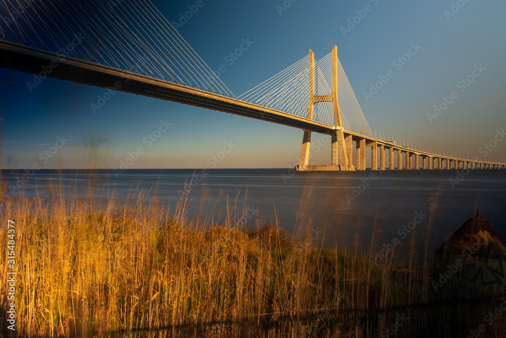 Fototapeta premium grass and a bridge in a river