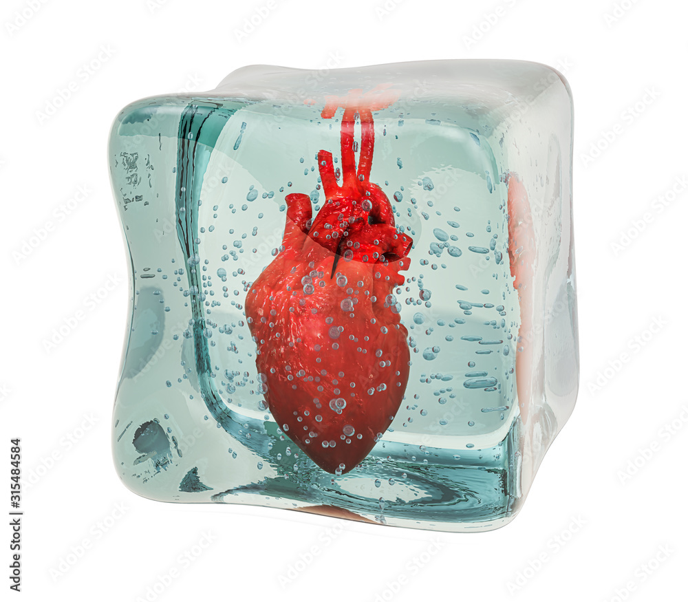 Human heart frozen in ice cube, 3D rendering - obrazy, fototapety, plakaty 