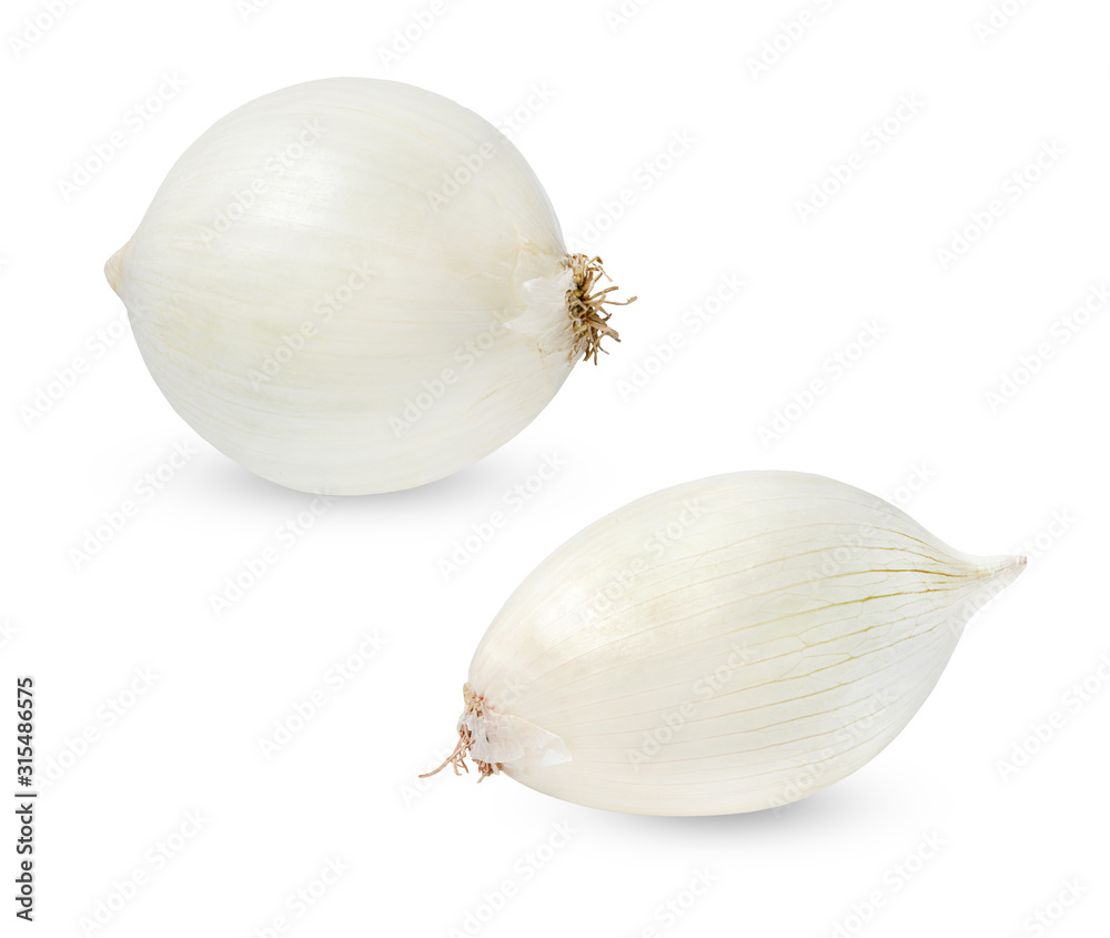 Fototapeta premium Two white onions of different shapes isolated on a white background. Clipping path. An element of your design.