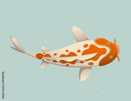 Calmly floating fish. Koi fish vector illustration japanese carp, colorful oriental koi in Asia. Chinese goldfish, traditional fishery isolated on background