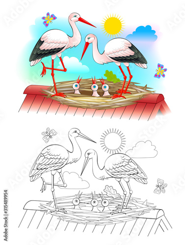 Illustration of happy stork family with mother, father and babies in the nest. Colorful and black and white page for coloring book for kids. Printable worksheet for children textbook. Vector image.