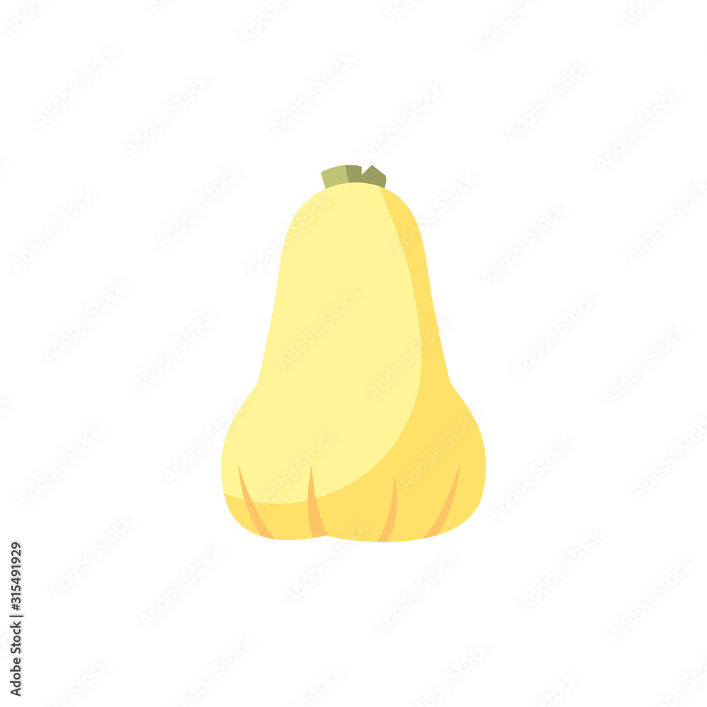Isolated pumpkin vegetable vector design Isolated pumpkin vegetable vector design