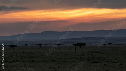 Sunset on the savannah in Masai Mara