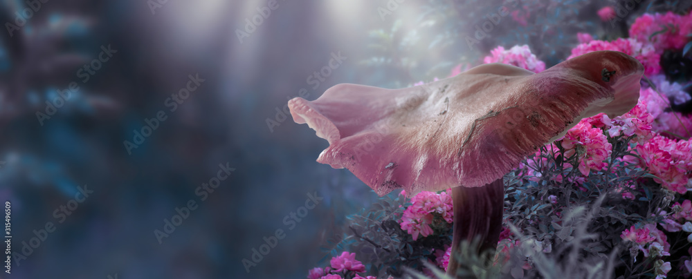 Fototapeta premium Magiczna fantazja duży grzyb w zaczarowanym bajkowym lesie z bajkowym kwitnącym różowym ogrodem kwiatowym na rozmytym tajemniczym niebieskim tle i błyszczącymi świecącymi promieniami księżyca w nocy