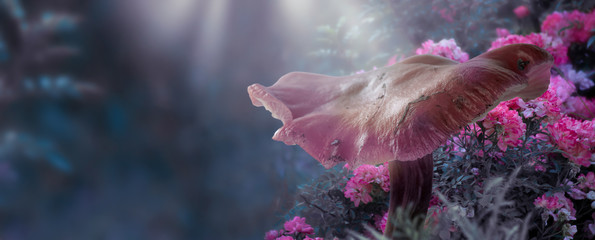 Magical fantasy large mushroom in enchanted fairy tale forest with fabulous fairytale blooming pink rose flower garden on blurred mysterious blue background and shiny glowing moon rays in the night
