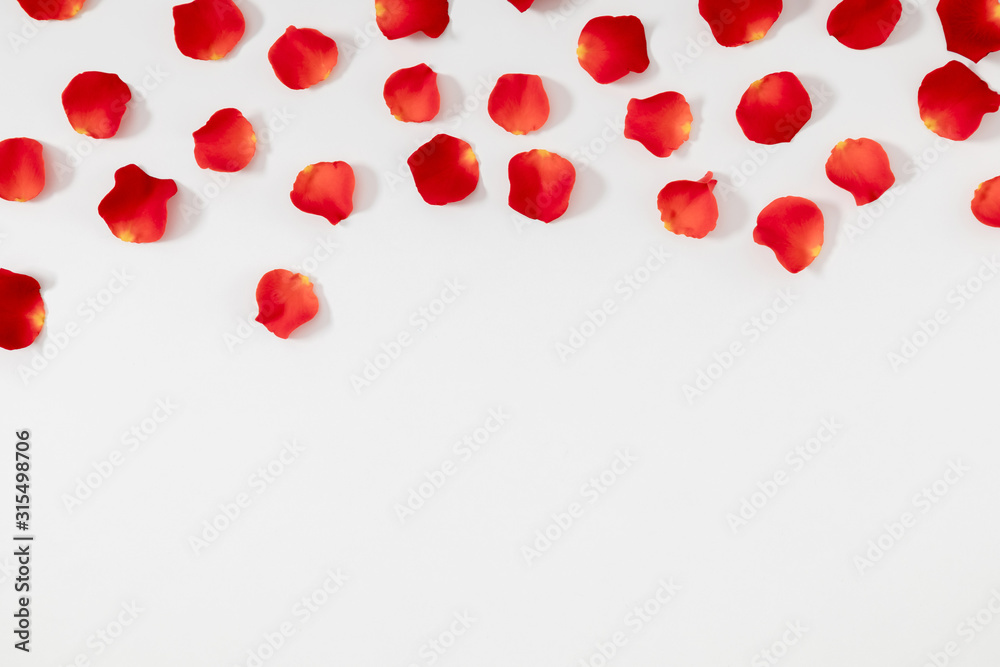 Beautiful flowers minimal composition. Rose petals on white background. Valentine's Day, Happy Women's Day. Flat lay, top view, copy space