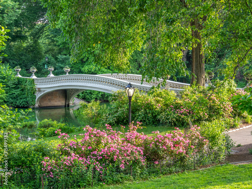 Bow bridge in summer