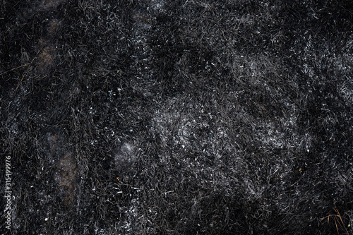 Black ash of burned grass on the hill. Background texture, close up