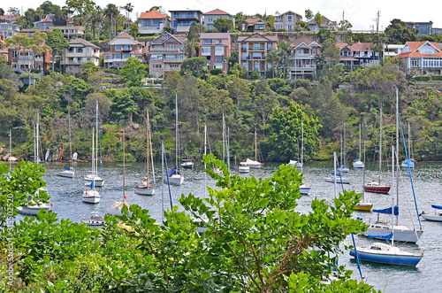 Photography Cremorne point to Mosman Bay coastal walk with typical Australian houses at the