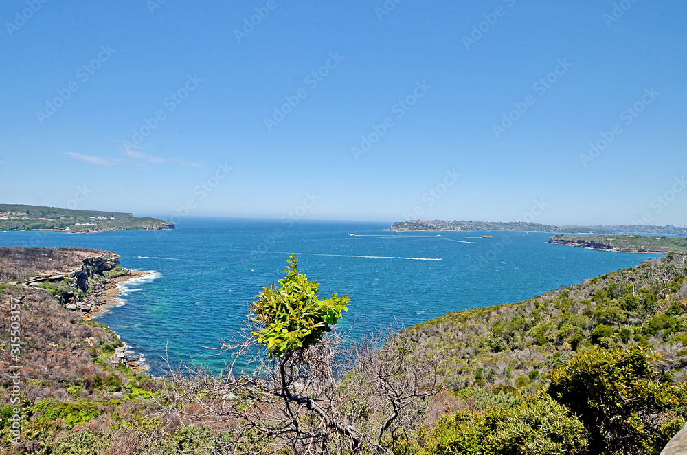 View on the North and South Heads of Sydney Harbor. One of the most beautiful walks in Sydney Spit bridge to Manly beach coastal walk, Sydney, Australia