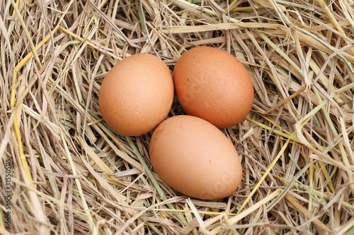 many brown eggs on rice straw.The benefits of egg are rich in vitamins and minerals of various types, such as B vitamins, vitamin C, vitamin D, vitamin E, vitamin K.