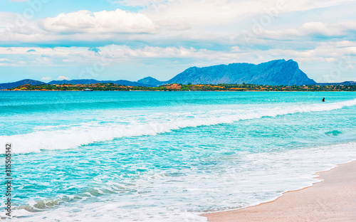 Landscape with La Cinta beach and Mediterranean Sea and Tavolara Island in Sardinia on Italy in summer. Scenery view on Sardinian beach in Sardegna. Olbia province. Mixed media.