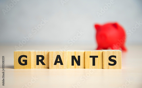 the word of GRANTS on building blocks concept photo
