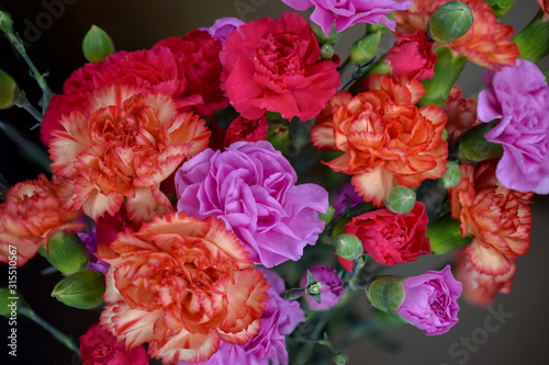 Pink, Orange, Red Carnation Flowers in a Bunch