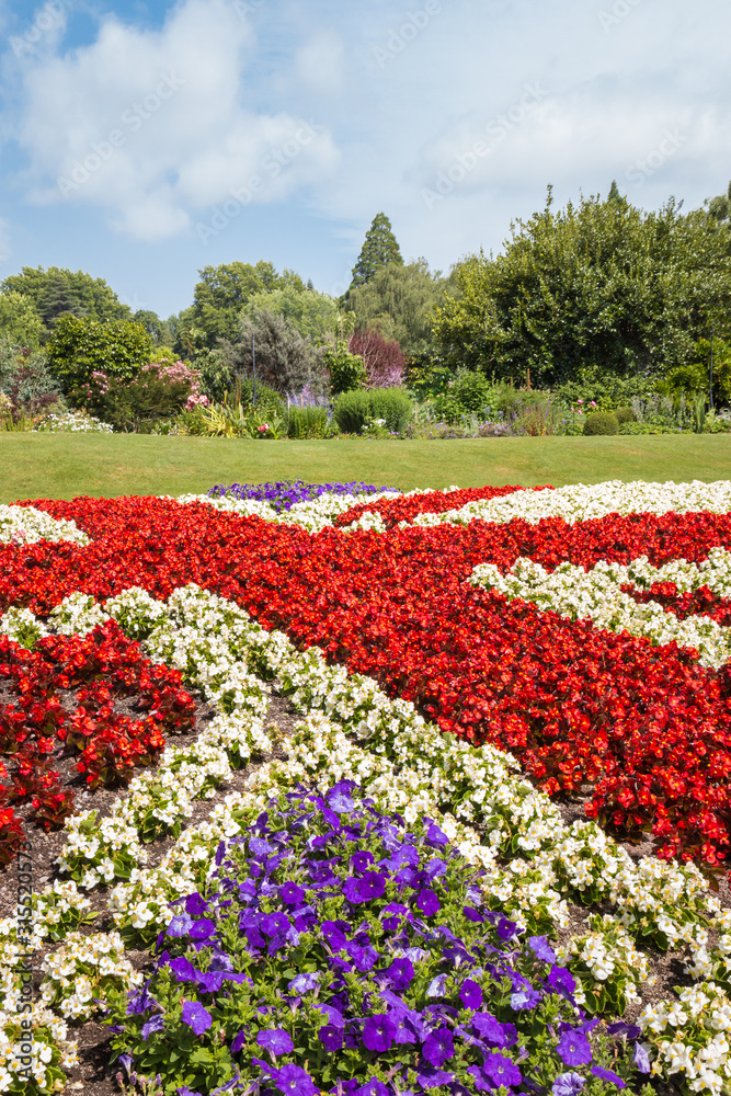 English landscape garden with red and white begonias Union flag floral display English landscape garden with red and white begonias Union flag floral display